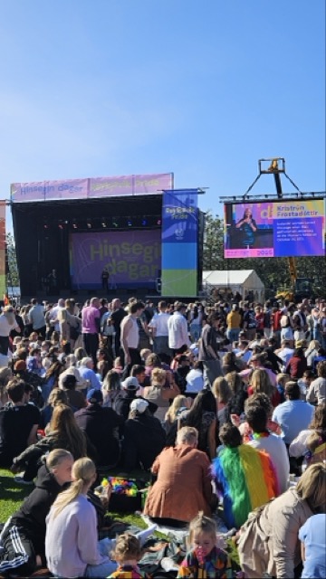 Crowd celebrating at the Reykjavík Pride after party in a park, gathered in front of a stage with live performances.